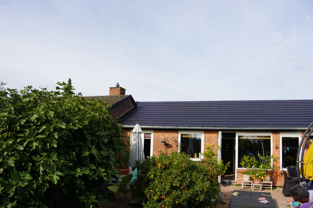 Rækkehus med Solartag set fra baghaven med figentræ